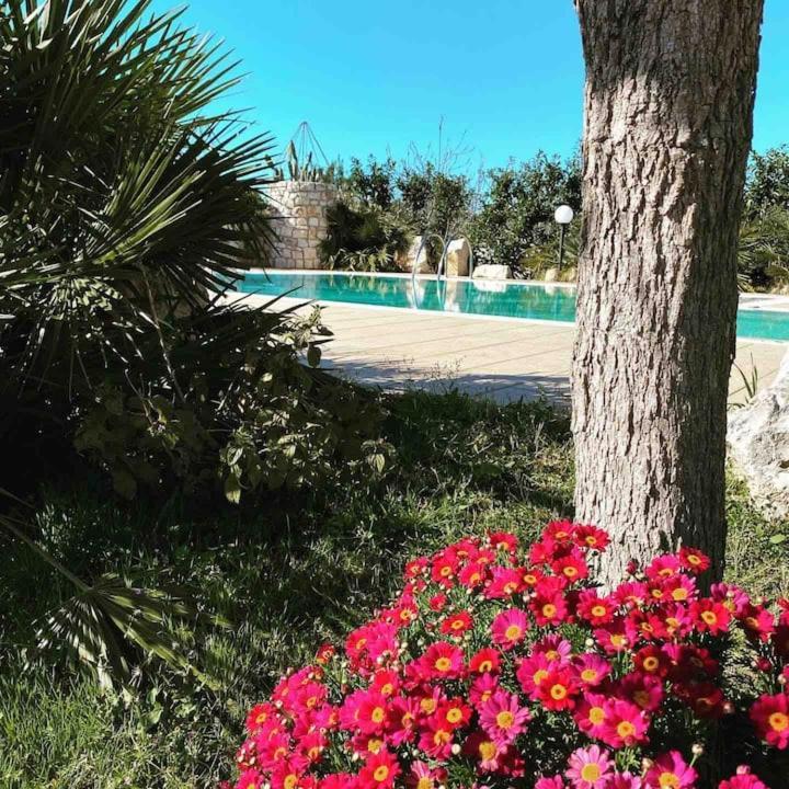 Pugliaholidayplus - Villa Cassano Полиньяно-а-Маре Экстерьер фото